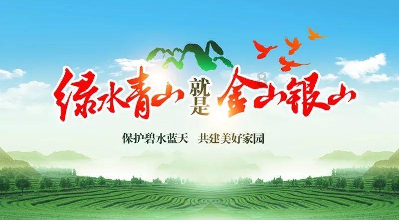 丛林森林逃生
